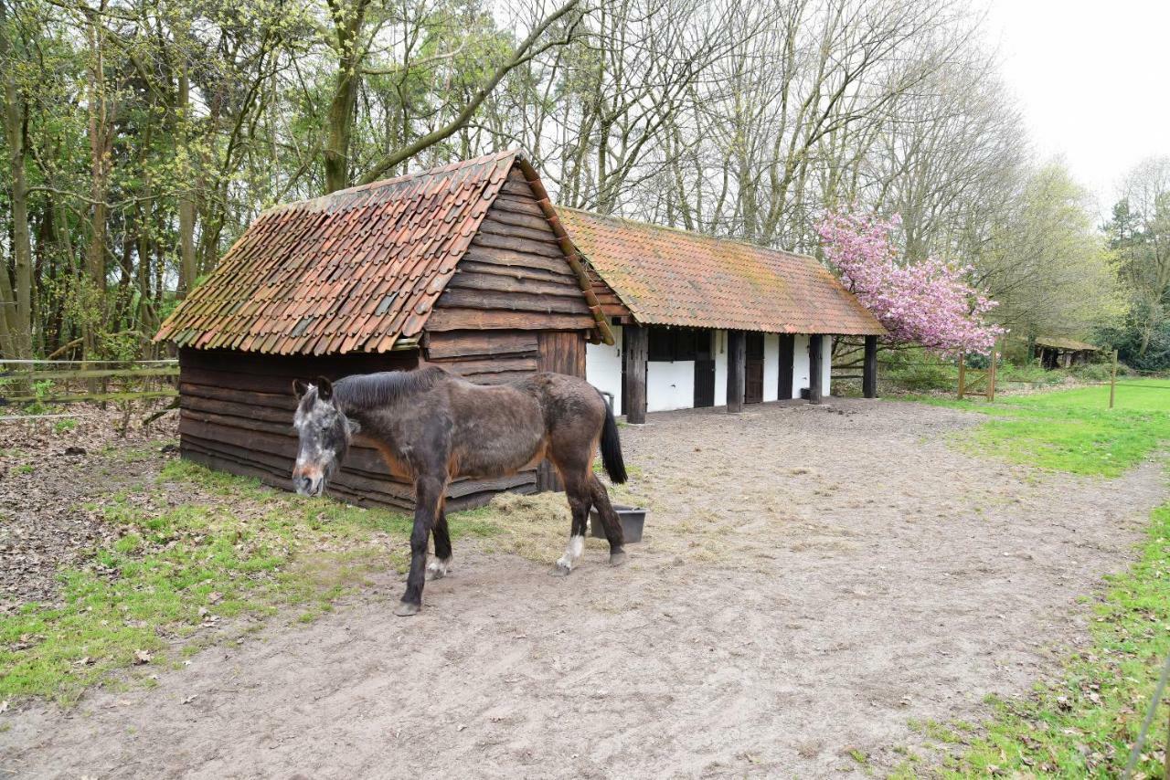 B&B Domein Rodin Oud-Turnhout Exterior photo