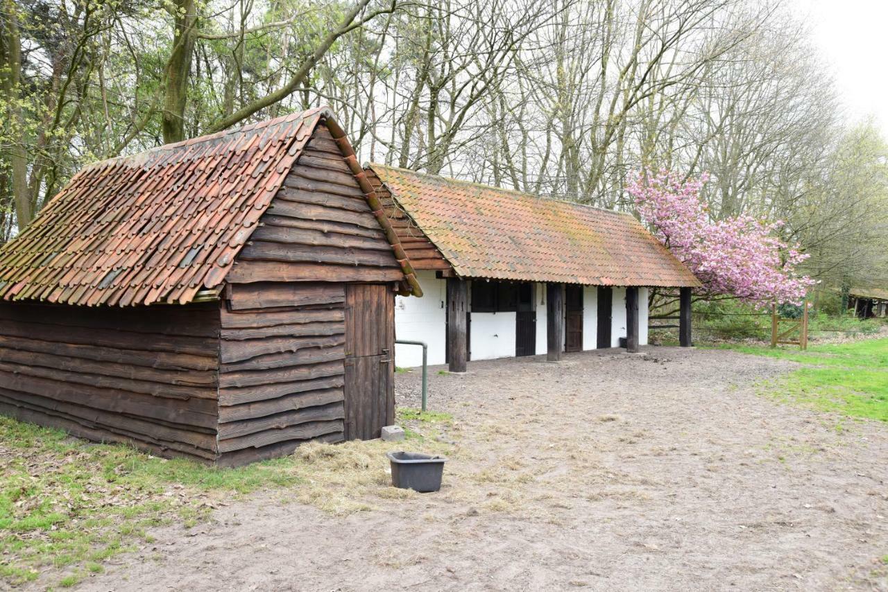 B&B Domein Rodin Oud-Turnhout Exterior photo